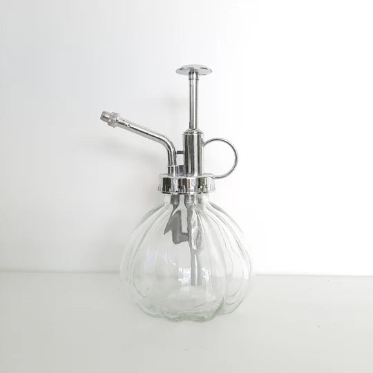Mister Clear Glass