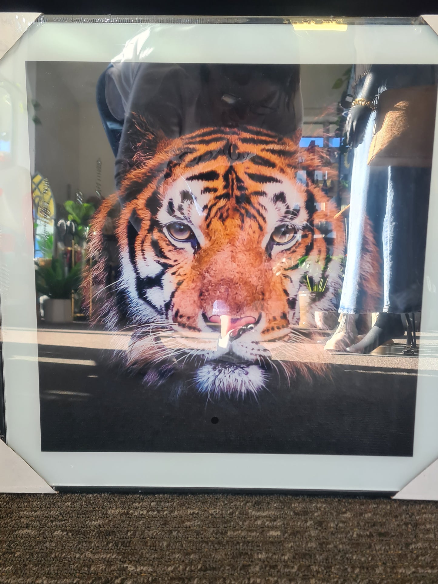 Framed Tiger