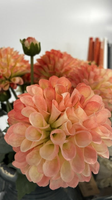 Artisan Florals | English Dahlia | Peach