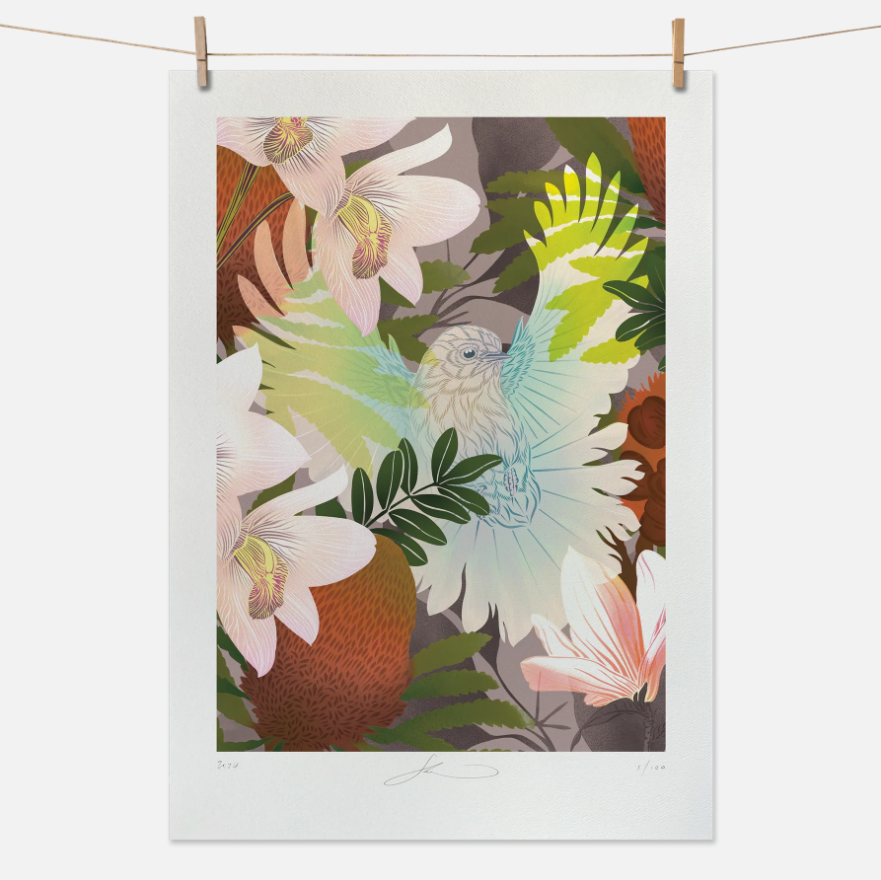Flox | Boutique Print A4 | White Fantail & Banksia