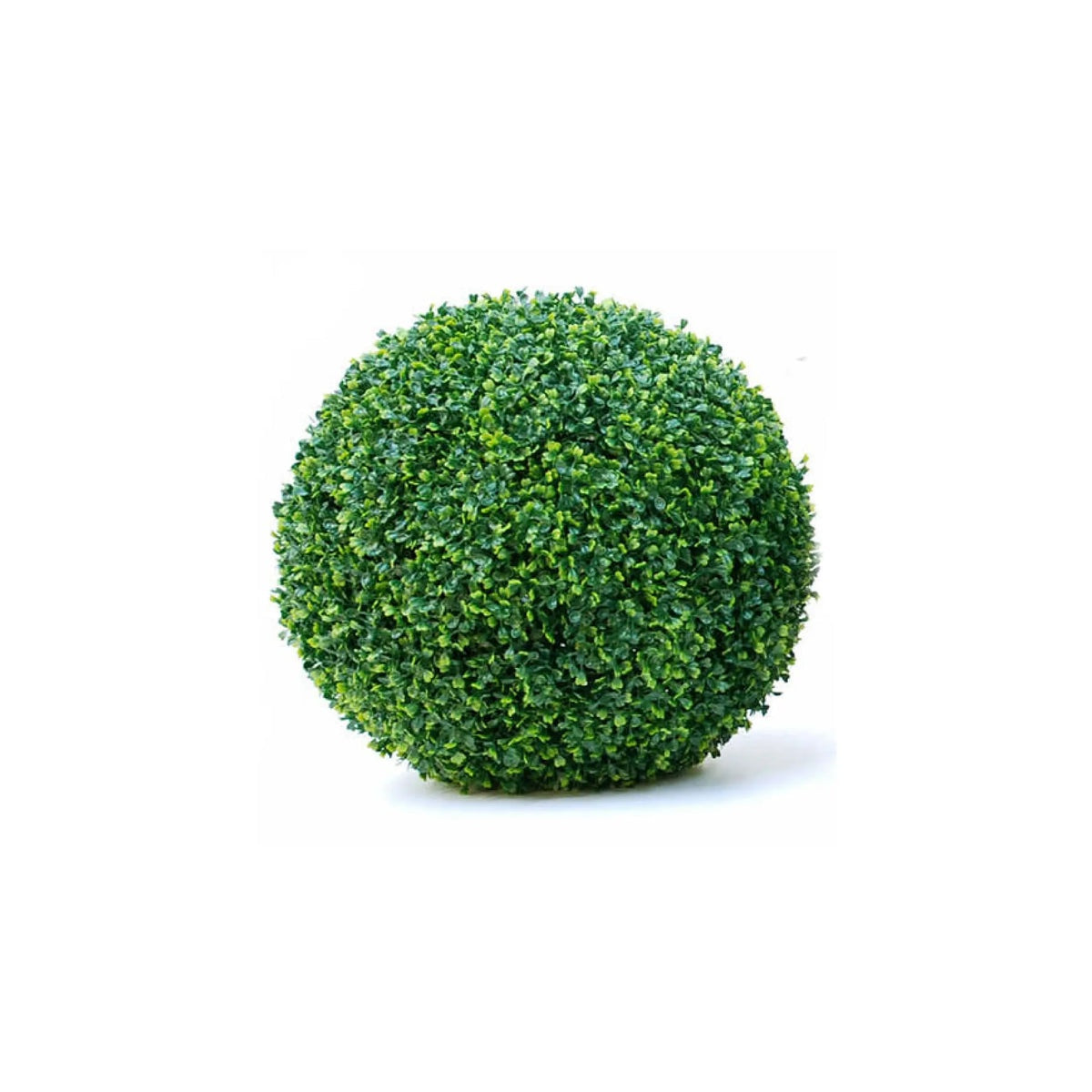 Green Sets | Boxwood Foliage Ball | Green