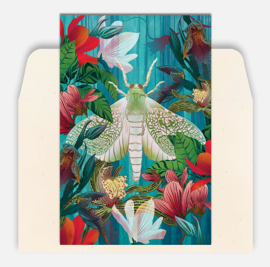Flox | Greeting Card | White Moth & Orchid