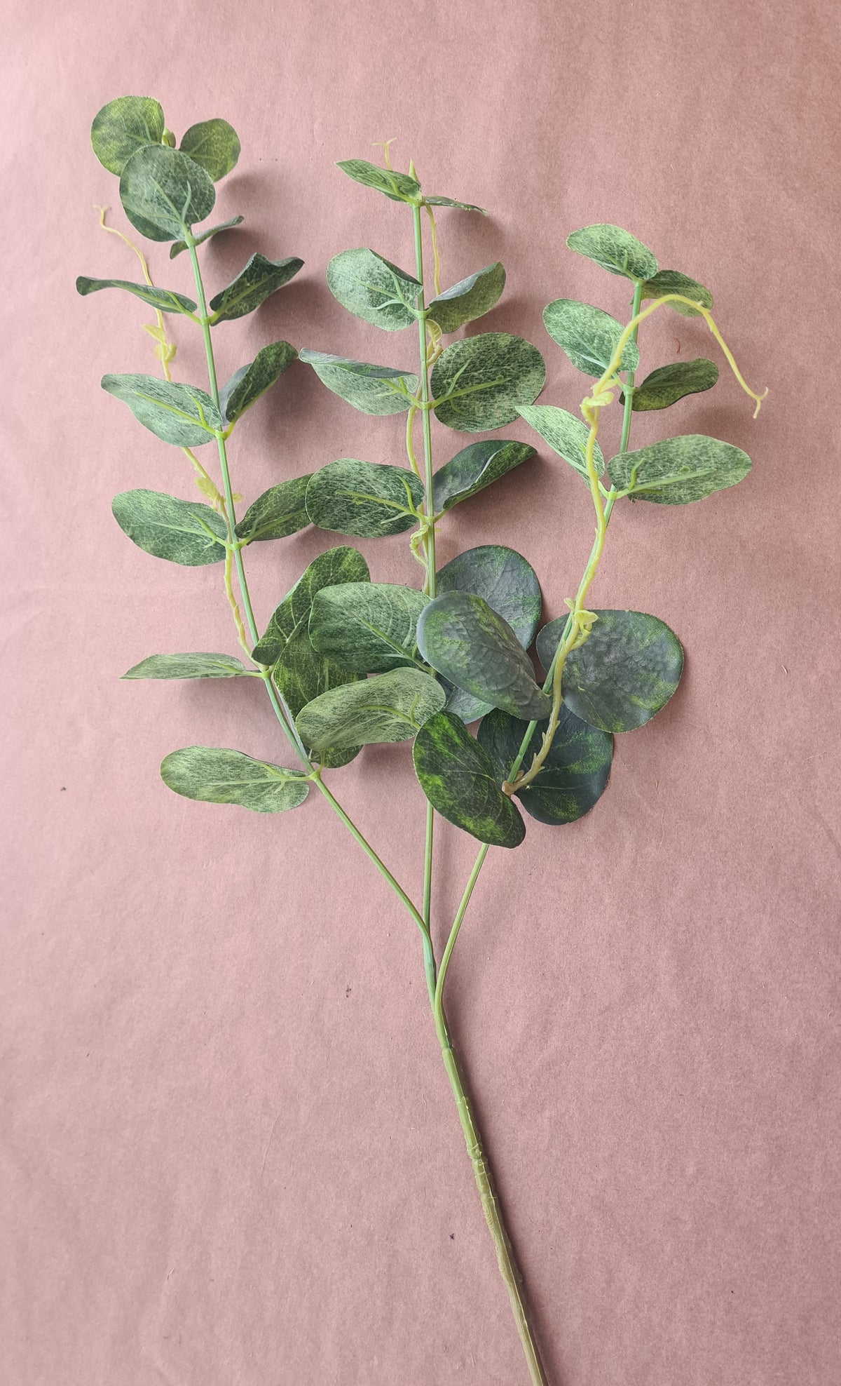 Tussock & Thread | Eucalyptus Foliage | Green