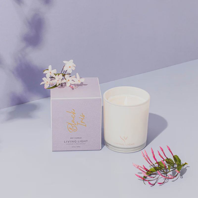 Living Light | Soy Candle Large | Black Iris