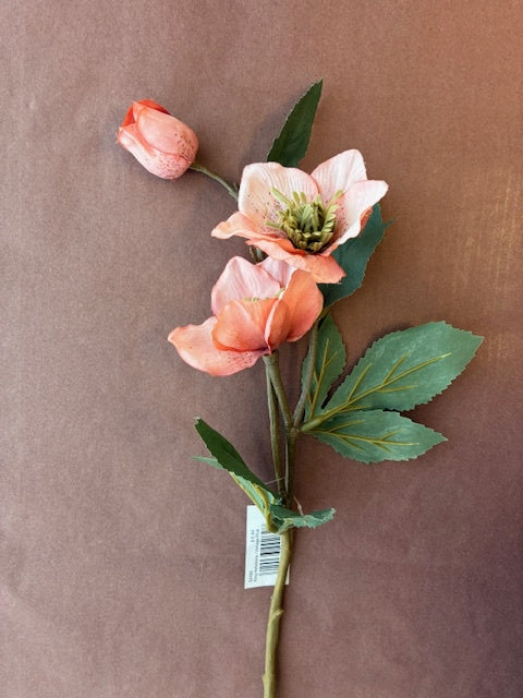Green Sets | King Hellebore | Vintage Pink