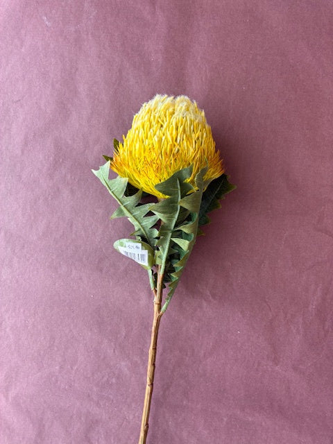 Flower Systems | Artificial Banksia | Green