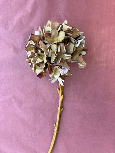 Artisan Florals | Country Hydrangea | Green & Brown