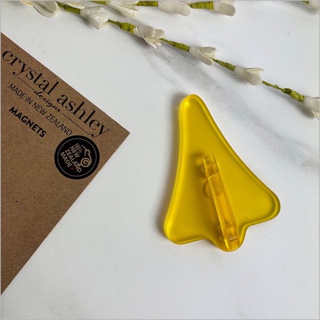 Crystal Ashley | Magnets | Jet Plane