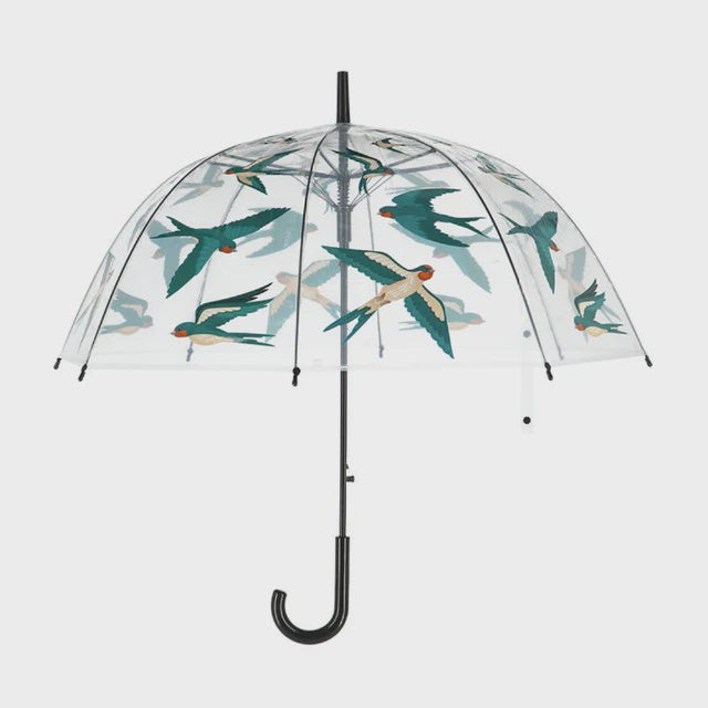 Umbrella