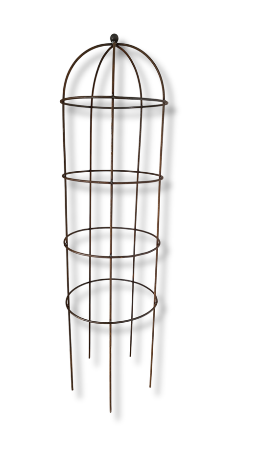 Bloom Metal | Rose Cage | Rustic