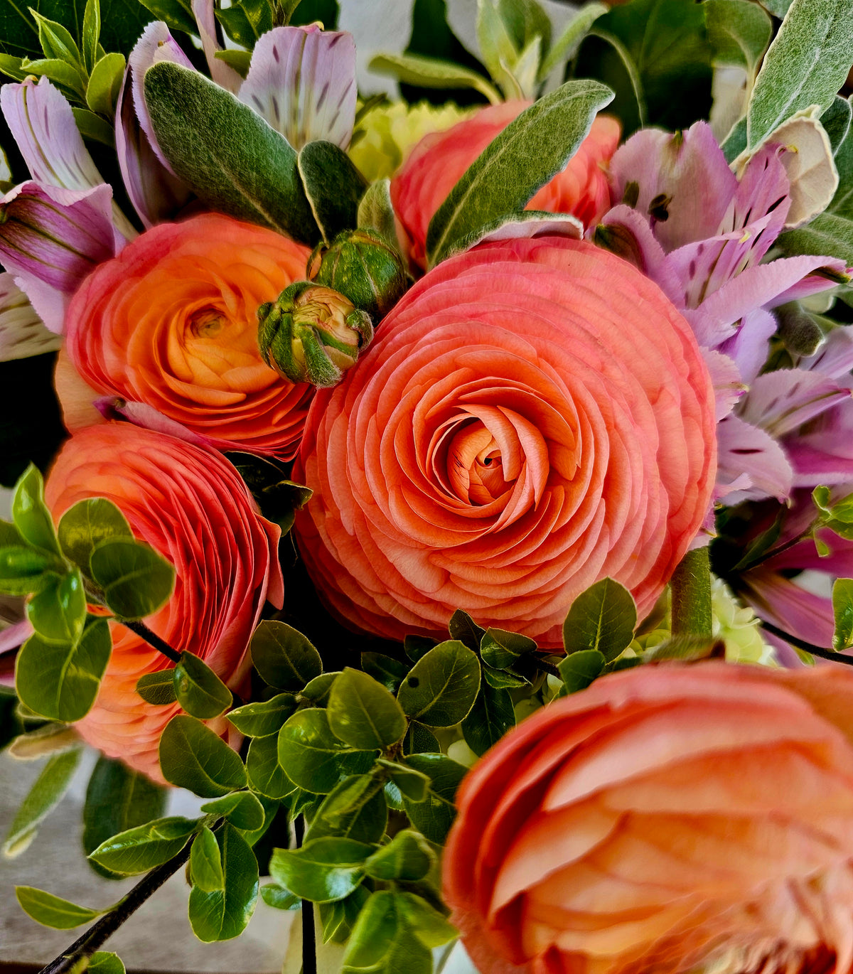 Tussock & Thread | Fresh Flower Posies | Various Colours