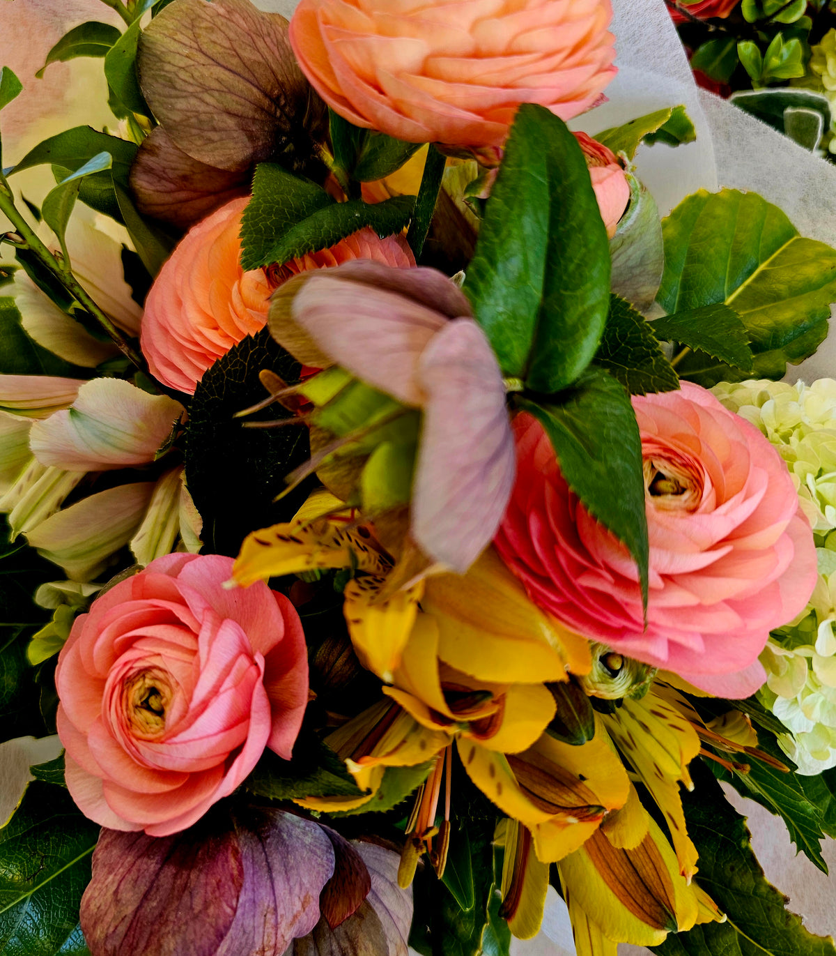 Tussock & Thread | Fresh Flower Posies | Various Colours