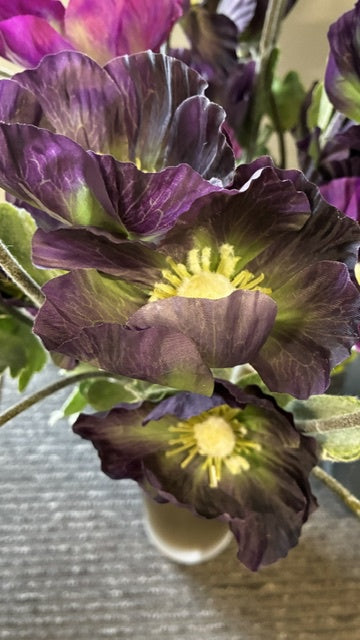 Harvest Poppy - Aubergine