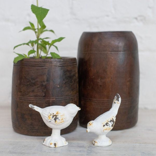 White Worn Look Birds