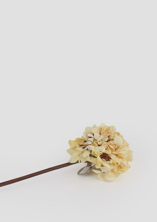Flower Systems | Dried Look Hydrangea | Cream