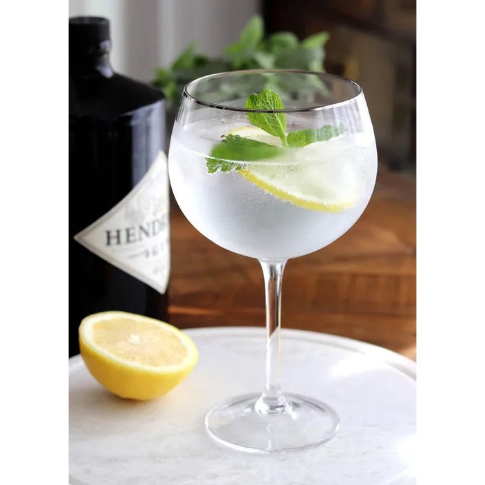 Tussock & Thread | Set of 4 Gin Glasses | Silver Rim