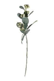 Flower Systems | Mini Eucalyptus Pod Spray | Green