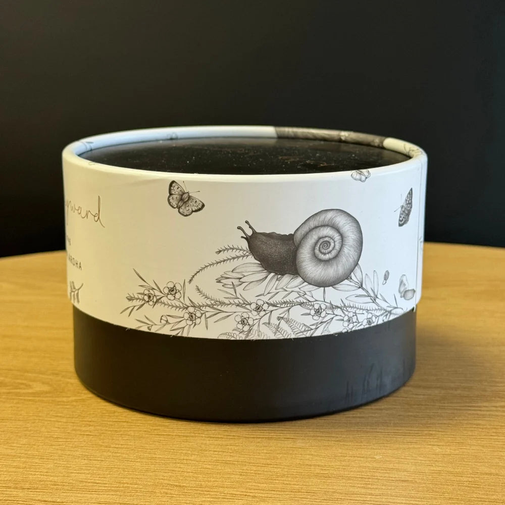 Katy Hayward| Ceramic Mug | Walking with Aroha - Brown Kiwi