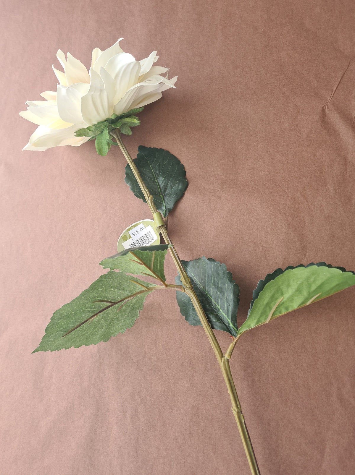 Artisan Florals | Madrid Dahlia | Blush & Cream