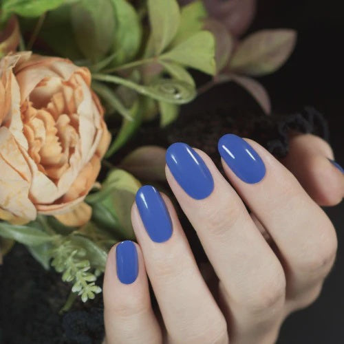 Hanami | Nail Polish | Nocture