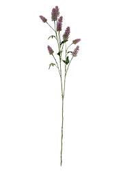 Flower Hare's Foot Clover Spray 74cm