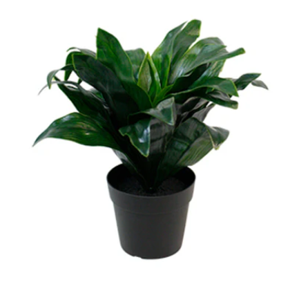 Flower Systems | Artificial Potted Dracaena | Potted Plant
