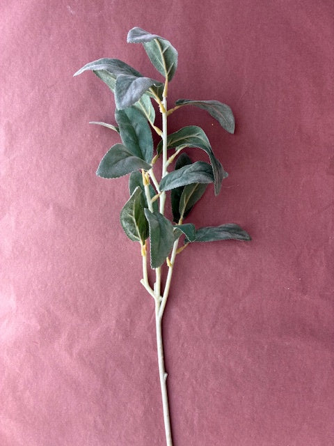Artisan Florals | Lambs Ear Foliage | Pale Green