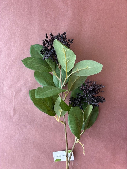 Elderberry Stem Black Forest