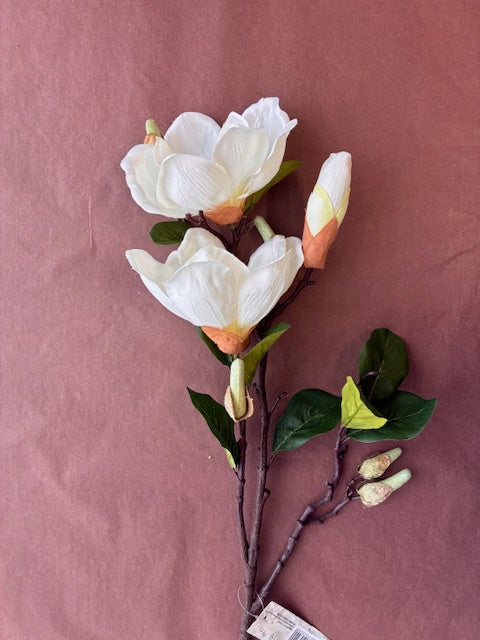 Robert Mark | Artificial Magnolia Branch | Cream