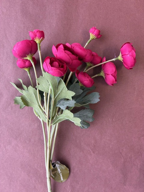 Mini Ranunculus Bush Hot Pink