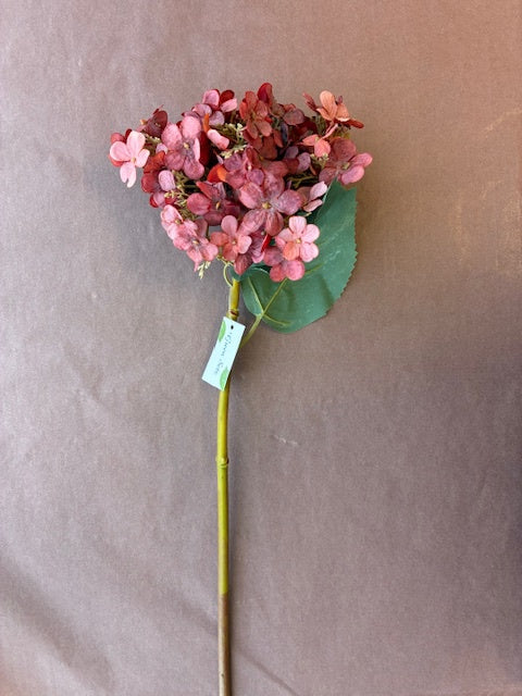 Green Sets | Cottage Hydrangea | Mixed Plum