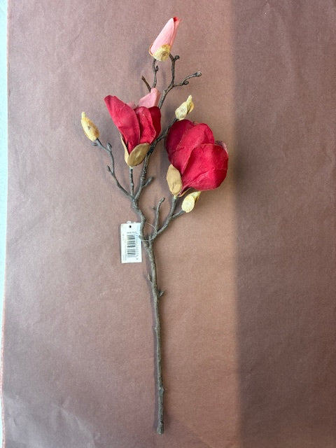 Vintage Magnolia Plum