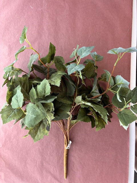 Green Sets | Ivy Bush | Green