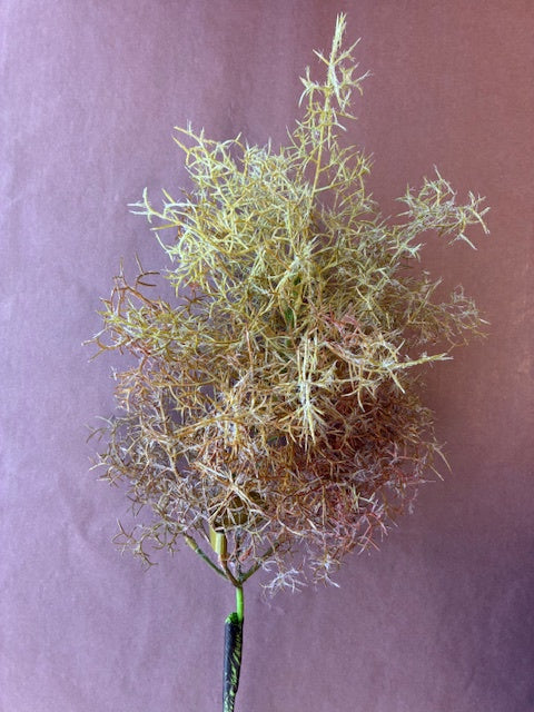 Artificial Seagrass Stem Brown Mauve