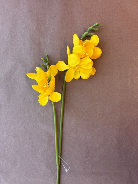 Artisan Florals | Freesia | Yellow