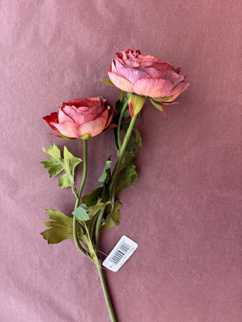 Green Sets | Ranunculus | Amber Red