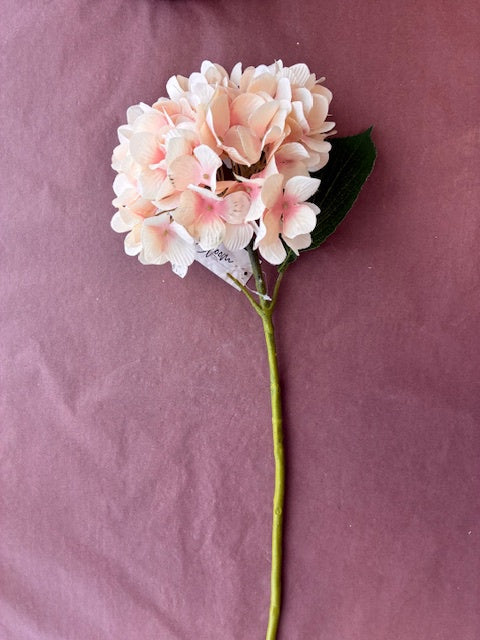 Tussock & Thread | Hydrangea | Pale Blush