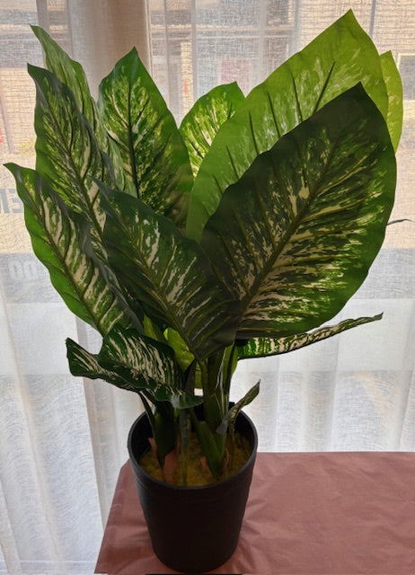 Large Artificial Dieffenbachia with Pot
