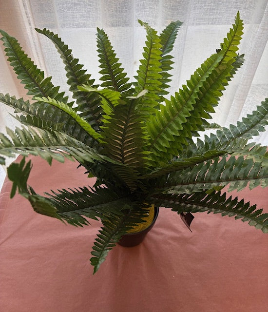 Robert Mark - Artificial Boston Fern in Pot - Damaged Pot
