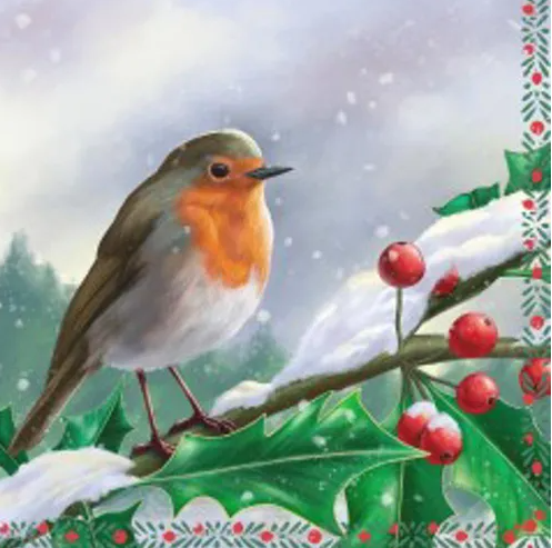 Uncle Zitos - Serviette - Robin Berry