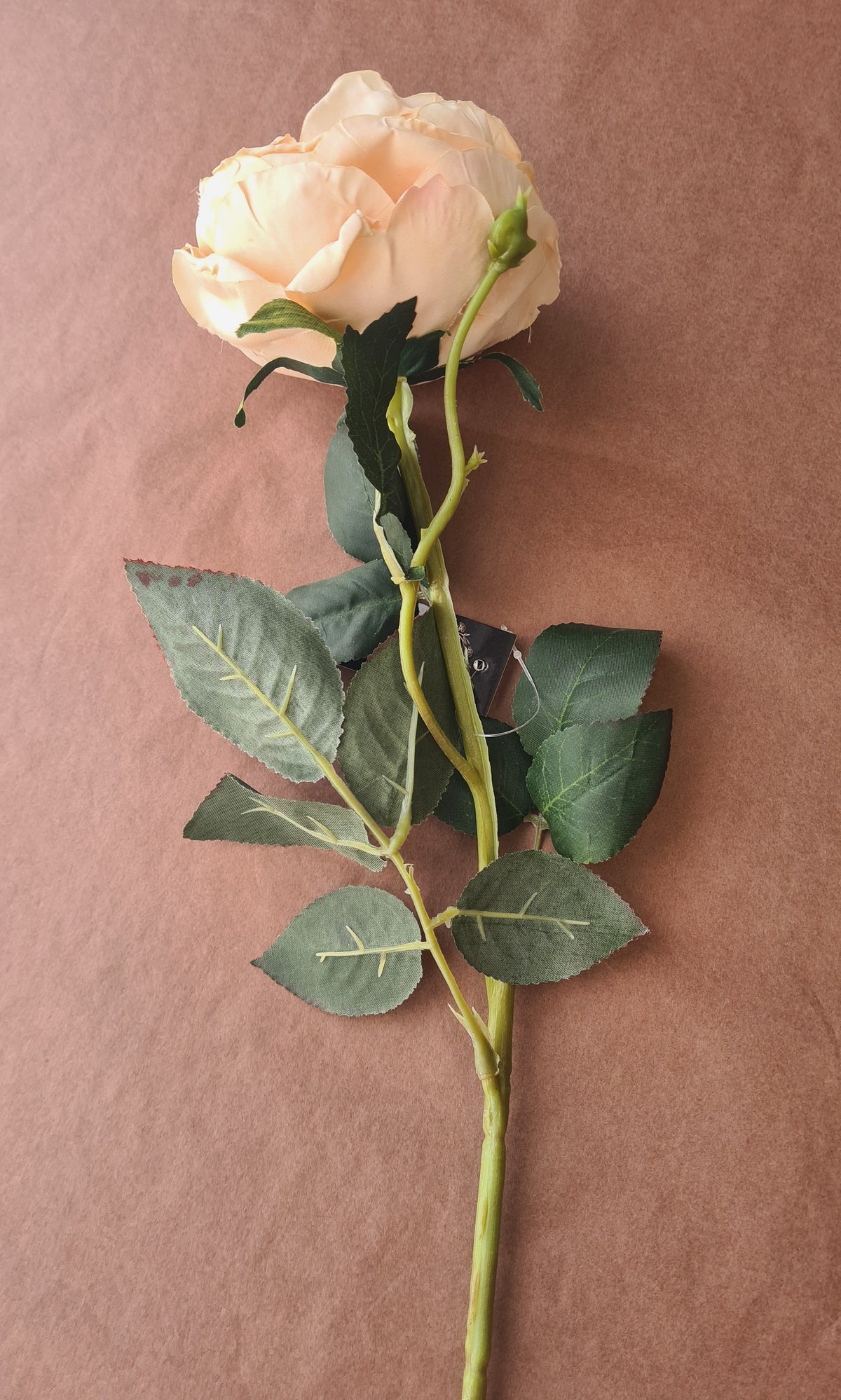 Artisan Florals | Austin Rose | Champagne