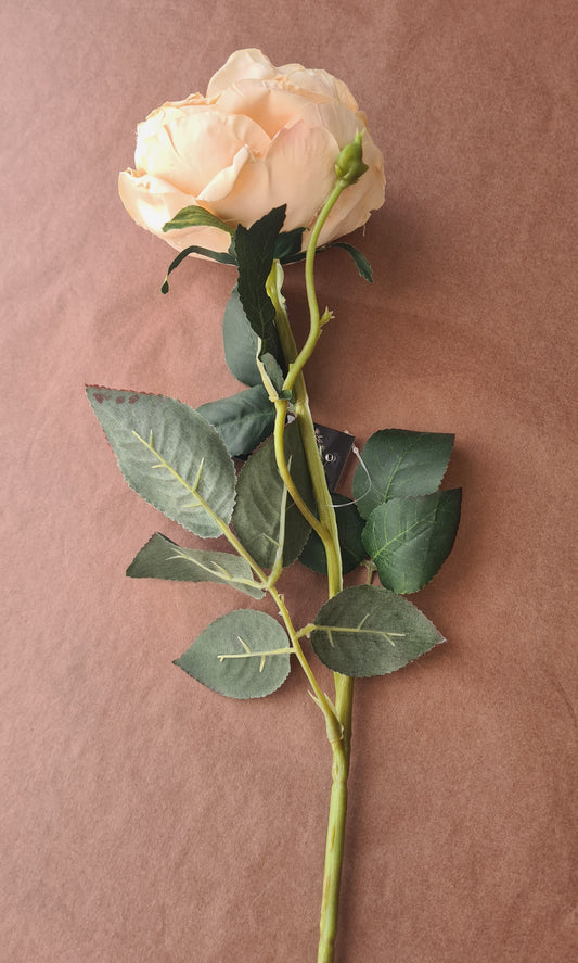 Artisan Florals | Austin Rose | Champagne