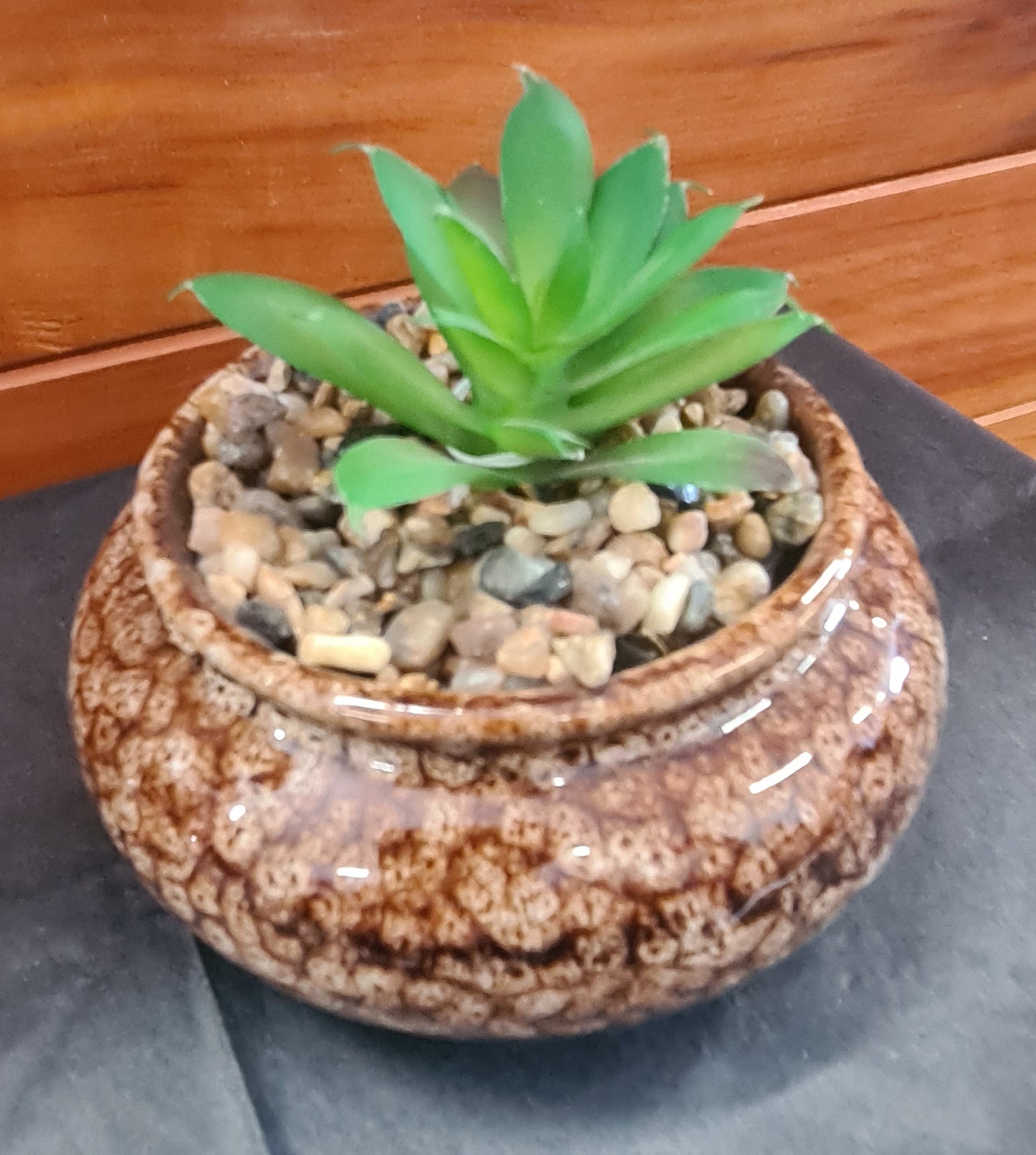 Tussock & Thread | Artificial Plant | Succulent in Pot