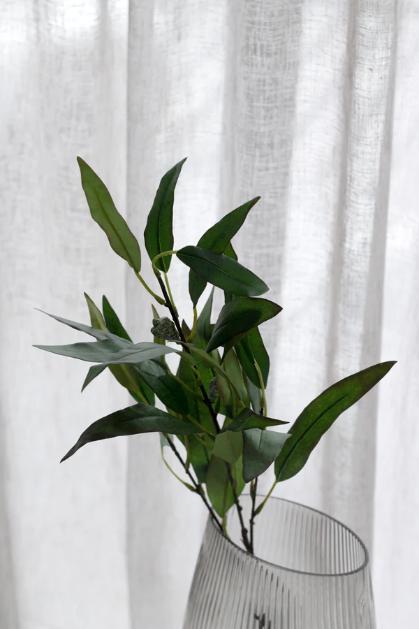 Green Sets | Willow Eucalyptus | New Geen